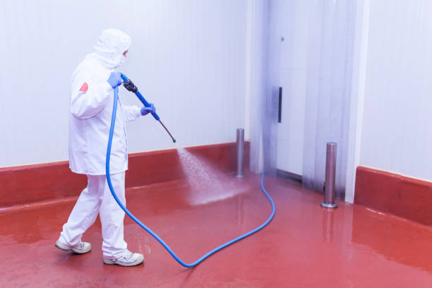 Best Soft Washing for Delicate Surfaces in Evanston, IL