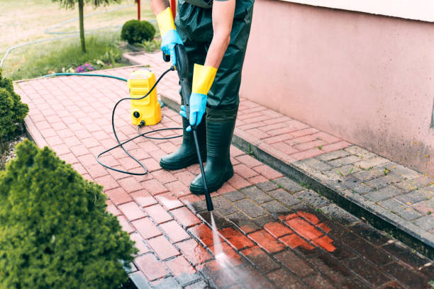 Best Window and Screen Pressure Cleaning in Evanston, IL
